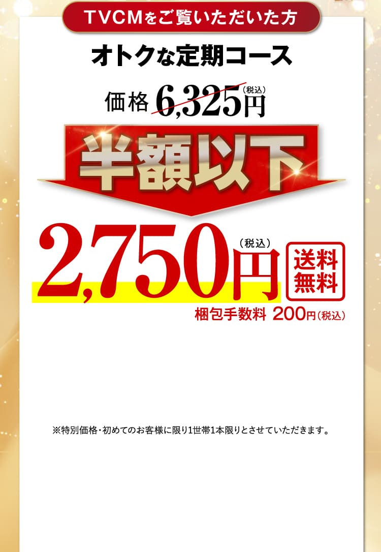 半額以下2,750円送料無料