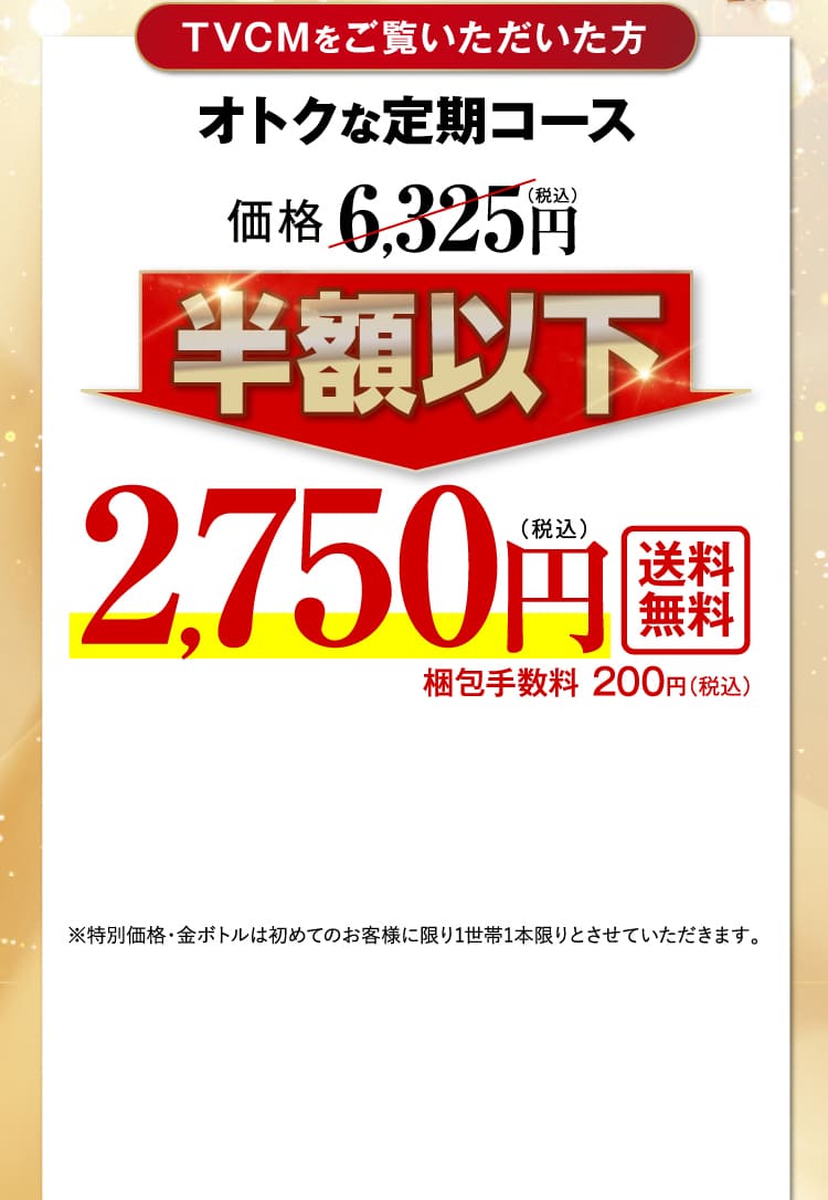 半額以下2,750円送料無料
