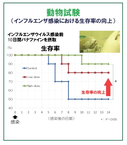 動物試験のグラフ