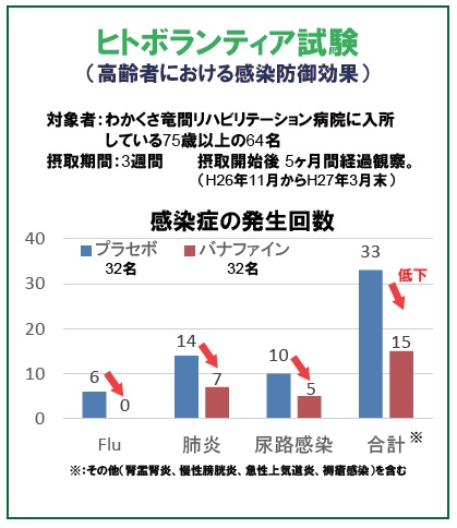 ヒト試験のグラフ