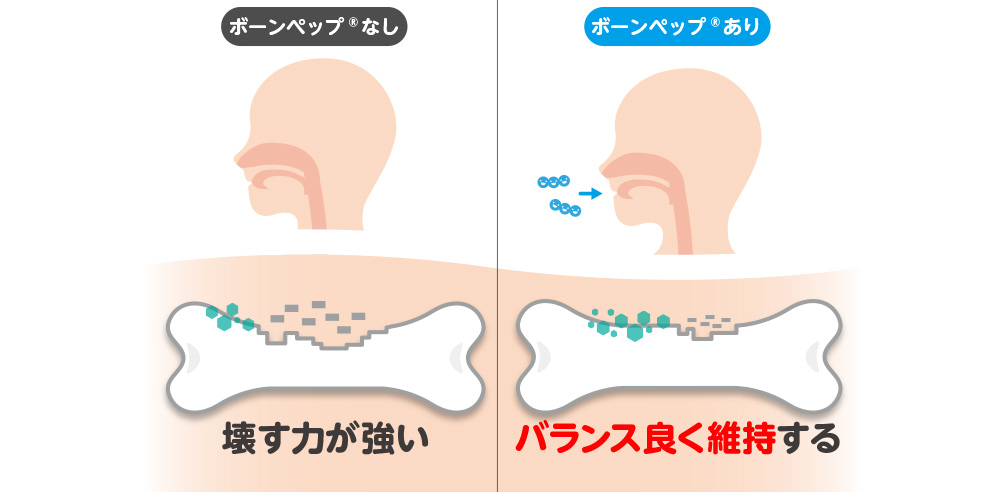 ボーンペップあり ボーンペップなし