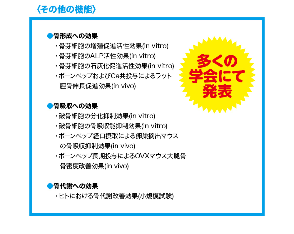 骨形成への効果 骨吸収への効果 骨代謝への効果 多くの学会にて発表