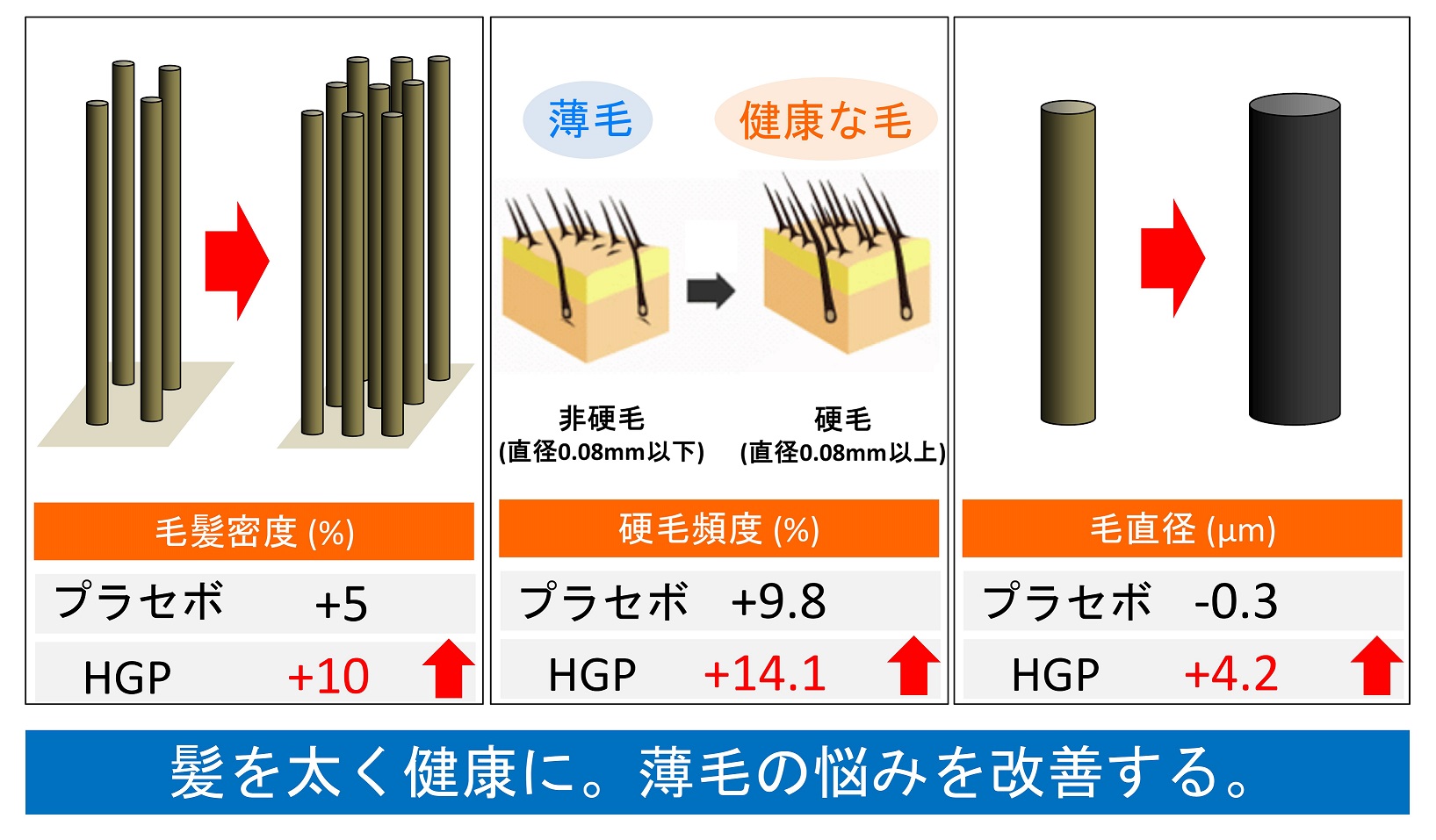 変化の画像