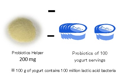 乳酸菌のイメージ図