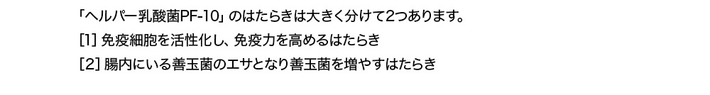 「ヘルパー乳酸菌PF-10」のはたらきは大きく分けて2つあります。