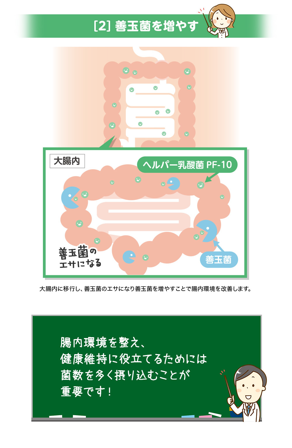 ［2］善玉菌を増やす