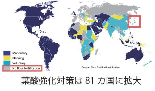 葉酸強化世界地図