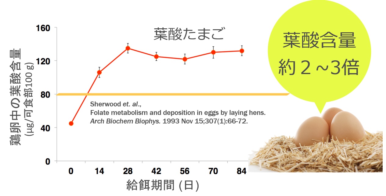 鶏卵葉酸含有量グラフ