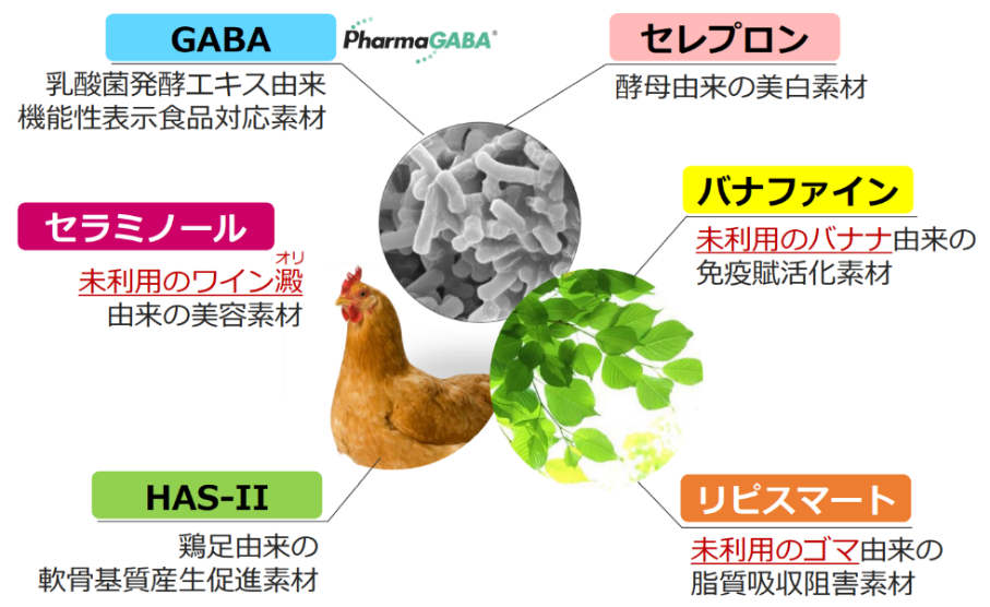 天然由来の原料から機能性素材を探索